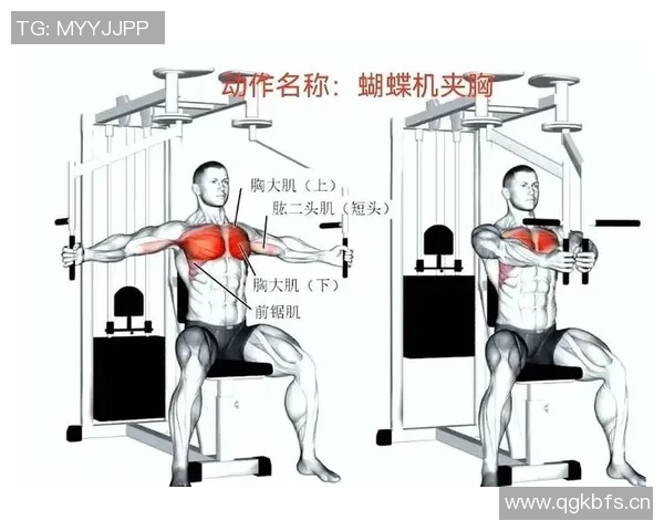 蝴蝶式夹胸健身器材训练方式讲解